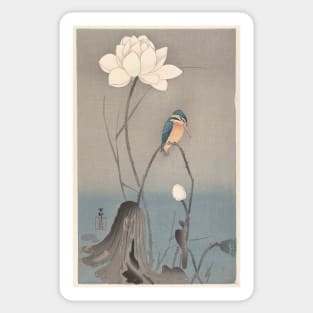 Kingfisher with Lotus Flower Sticker